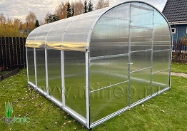 Теплица Тюльпан Гибрид 3,5М — Прямые стенки — фото